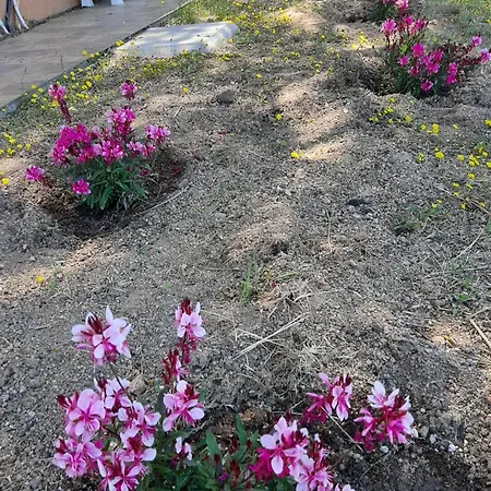 I Tre Vitigni Vermentino Apartamento