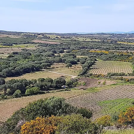 I Tre Vitigni Vermentino Apartamento