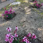 I Tre Vitigni Vermentino Appartement