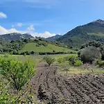 I Tre Vitigni Vermentino *
