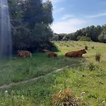 I Tre Vitigni Vermentino Appartement