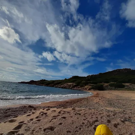 I Tre Vitigni Vermentino * Trinità dʼAgultu