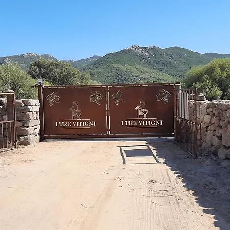 I Tre Vitigni Vermentino Trinità dʼAgultu