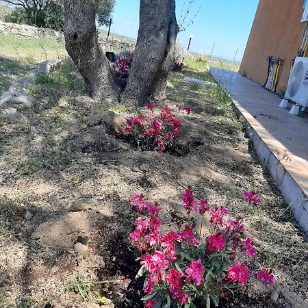 I Tre Vitigni Vermentino דירה *