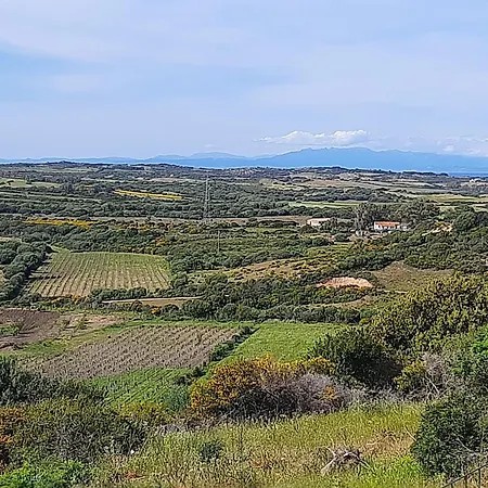 I Tre Vitigni Vermentino