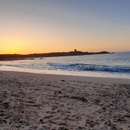I Tre Vitigni Vermentino * Trinità dʼAgultu