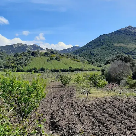 I Tre Vitigni Vermentino *