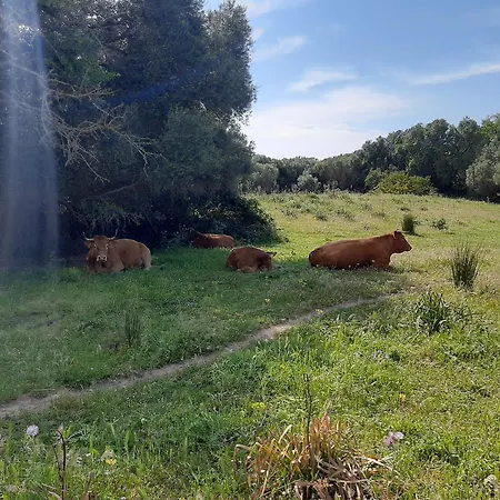 I Tre Vitigni Vermentino Apartmán