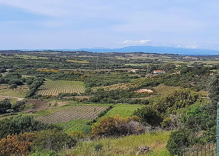 I Tre Vitigni Vermentino