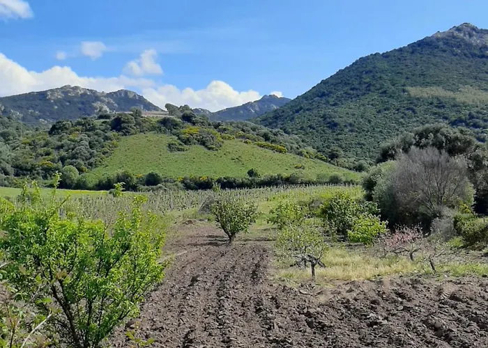 I Tre Vitigni Vermentino *