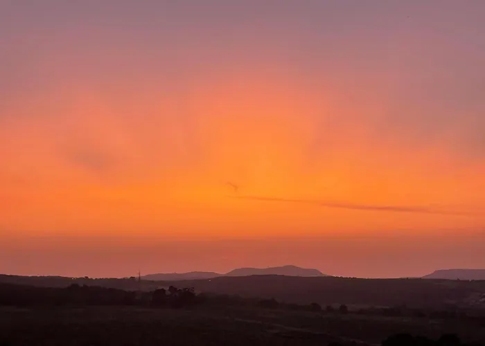 I Tre Vitigni Vermentino Daire Trinità dʼAgultu